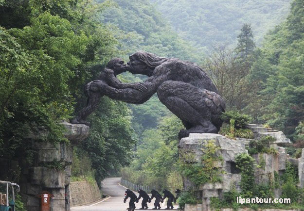 宜昌、三峽大壩、昭君故里、大九湖、神農架5日